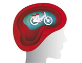 Illustration eines Kopfes, in dem sich die Illustration eines Fahrrades befindet.